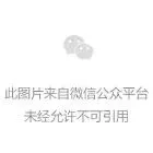 2026世界杯中国平台介绍